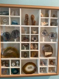 there are many different types of rocks on display