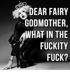 a black and white photo with the words dear fairy godmoter, what in the f