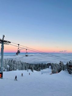 #winter #winterwonderland #winteractivities #snow #cold
skiing, sun, winter, friends, snow, cold, piste, slopes, fun, nordic, scandinavia Ski Girl, Mt Hood, Pretty Landscapes, Dream Travel Destinations