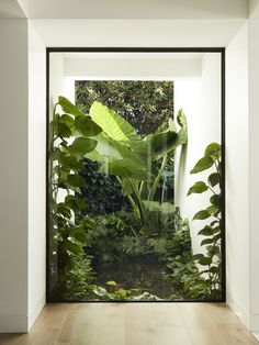 the inside of a room with plants and water