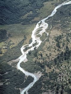 an aerial view of a river running through a forest