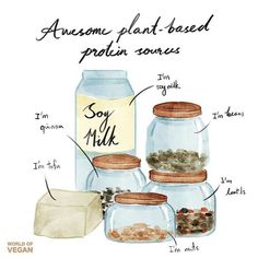 some jars with different types of food in them and labeled on the bottom one says, awesome plant based protein sources soy milk