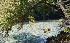 a swing hanging from a tree over a river