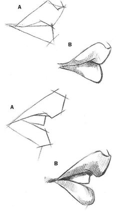 four different types of mouth shapes and how to draw them with pencils on paper