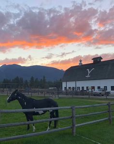 Horse Ranch Aesthetic, Ranch Life Country Living, Montana Core, Chief Joseph Ranch, Montana Ranch House, Wyoming Summer, Indigo Ridge, Montana Aesthetic, Wyoming Ranch