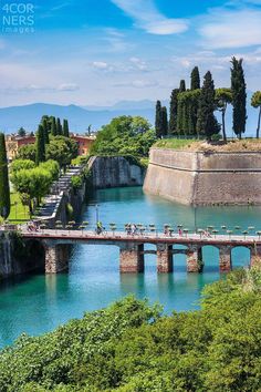 a bridge over a body of water next to trees