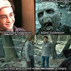 harry potter and hermione are in the woods with words that read, i survived voldemort