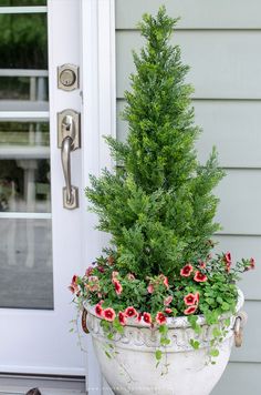 a potted plant with red and white flowers in front of a door handle on a house