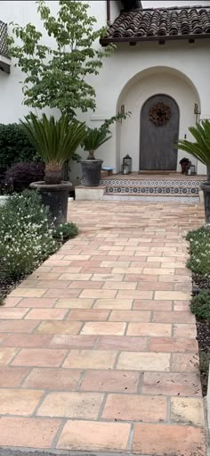 a brick walkway leading to a house with potted plants and trees in the background