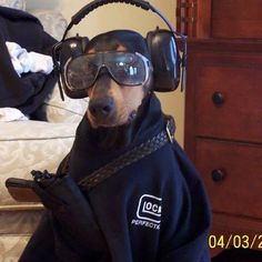 a dog wearing headphones and goggles while sitting on a couch in a living room