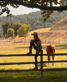 a woman sitting on top of a wooden fence next to a horse in a field