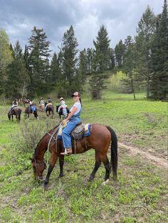 a man riding on the back of a brown horse next to a group of people