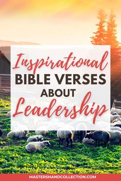 the words inspirational bible verses about leadership in front of a herd of sheep