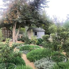 a garden with lots of trees and plants around it in front of a small house