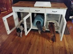 three dogs are standing in their kennels