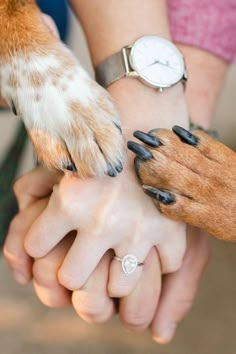 two dogs and their owners are holding hands with each other while the dog has its paw on top of the woman's hand