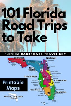 the florida road trip map with palm trees in the background and text that reads 101 florida road trips to take