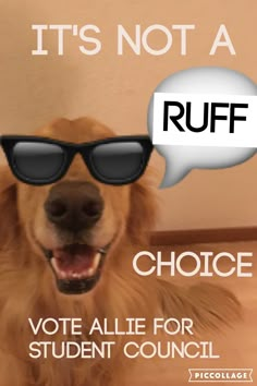 a dog wearing sunglasses with a speech bubble saying it's not a ruff choice