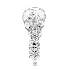 a black and white drawing of a skeleton with flowers in it's ribcage