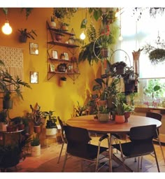 a dining room filled with lots of potted plants