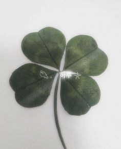 a four leaf clover is shown on a white background with the word love spelled below it