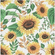 sunflowers and leaves on a white background