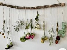 a bunch of flowers are hanging from a branch on the wall in front of a white wall