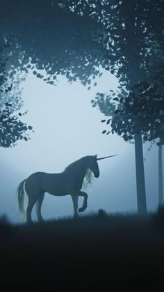 a unicorn standing in the middle of a forest on a foggy day with trees