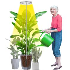 an elderly woman watering her plants in front of a yellow and white background with the image of a houseplant