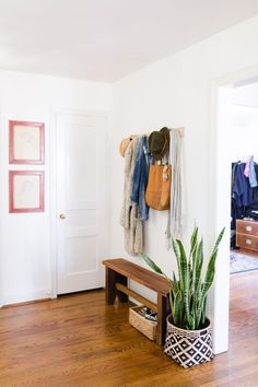 a wooden bench sitting in front of a white wall next to a potted plant