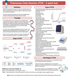 Polymerase Chain Reaction (PCR) Polymerase Chain Reaction Notes, Polymerase Chain Reaction, Pcr Technique, Microbiology Study, Microbiology Lab, Organic Chemistry Study, Medical Laboratory Scientist