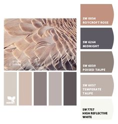 the color palette is neutral and has different colors to choose from, including brown, black,