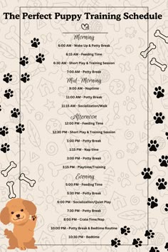 the perfect puppy training schedule is shown with paw prints and dog's footprints on it