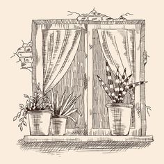 an old window with potted plants on the ledge and curtains drawn by hand in ink