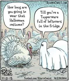 two turkeys are talking to each other