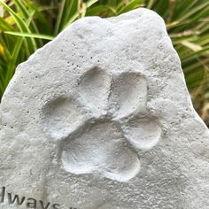 a white rock with a paw print on it