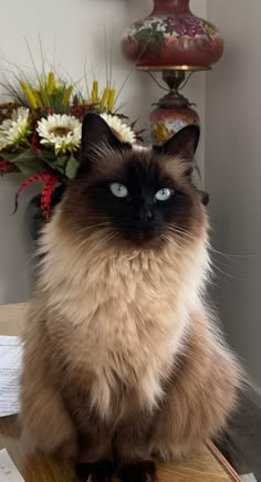 a cat sitting on top of a wooden table next to a vase filled with flowers