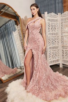 Lace Long Gown, Fitted Gowns, Mermaid Prom Dresses Lace, Prom Dresses Long Lace, Cinderella Divine, Short Dress Styles, Lace Evening Gowns, Stunning Gowns, Floral Lace Dress