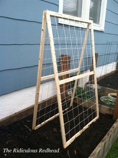 a small garden in front of a blue house with an arrow pointing to the right