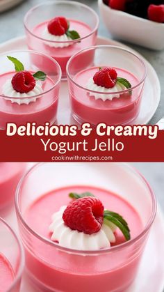 DeliciousCreamy Yogurt Jello RecipeBoring‘ol jello gets a major upgrade with the addition of yogurt and creamThis simple addition transforms it into a creamy dessert that is light in texturerich in flavorperfectly sweet with lovely notes of tanginess. Yogurt Jello Recipe, Yogurt Jello, Yogurt Dessert Recipes, Greek Yogurt Dessert, White Chicken Chili Recipe Crockpot, Jello With Fruit, Jello Recipe, Jello Flavors