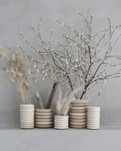 three vases with branches and flowers in them on a shelf next to stacks of plates