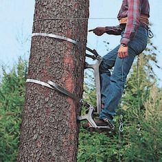 a man is climbing up a tree with scissors