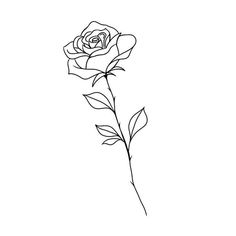 Rose Drawing Tattoo Simple, Simple Line Rose Tattoo, Rose Tattoo Line Art, Fineline Woman Tattoo, Small Rose Drawing, Rose Simple Tattoo, Single Rose Drawing, Rose Tattoo Line, Line Rose Drawing