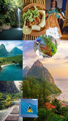 the collage shows many different pictures including mountains, trees and people in colorful outfits