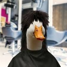 a duck with long black hair and a wig on it's head is standing in an office