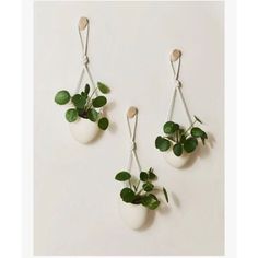 two white hanging planters with green plants in them