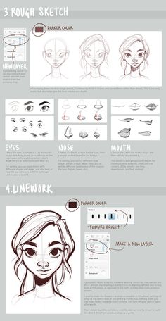 Taylor Draws Stuff — here’s a brilliant resource for drawing a female... Stylized Character Proportions, Comics Style Drawing, How To Draw Disney Style, Loish Tutorial, How To Draw Cartoon, Digital Art Cartoon Style, Draw Disney Style, Draw Cartoon Faces, Disney Style Drawing