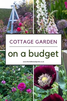 From empty space to brilliant cottage garden - on a shoestring budget. Lots of clever recycling ideas plus tips for keeping plant costs down. If you love cottage gardens, don't miss this 🌻🌲❤️😍 Narrow Cottage Garden, Small Cottage Garden Ideas On A Budget, Cottage Garden Trellis, Cottage On A Budget, Simple Cottage Garden Ideas, How To Plan A Cottage Garden, Beautiful Cottage Gardens, Clever Garden Ideas, How To Plant A Cottage Garden