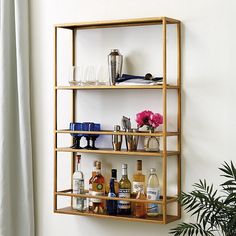 a shelf filled with bottles and glasses next to a potted plant in a room