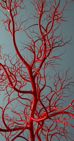 a tree with red branches against a blue sky